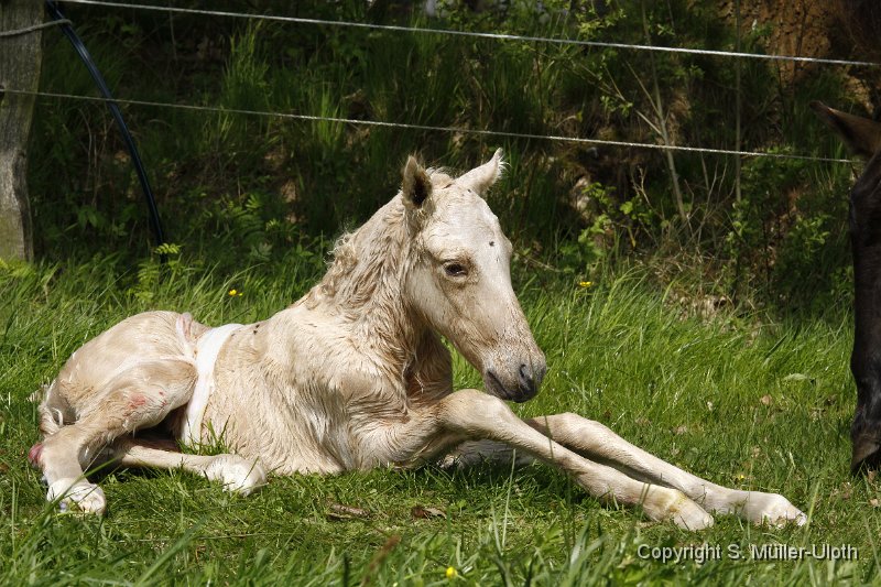 Hjoerdis 12 Min alt (10).JPG